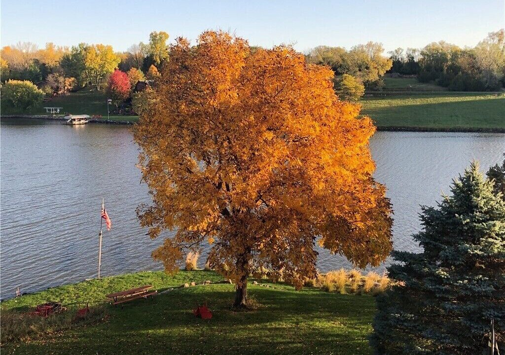 Photo of Outdoor in Panora