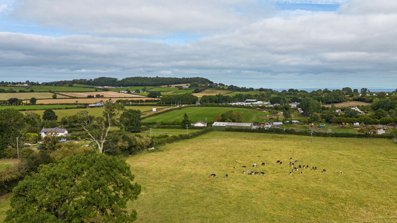 Photo of Others in Lloc