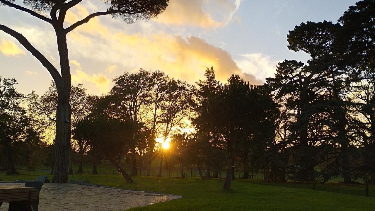 Photo of Outdoor in Nort-sur-Erdre