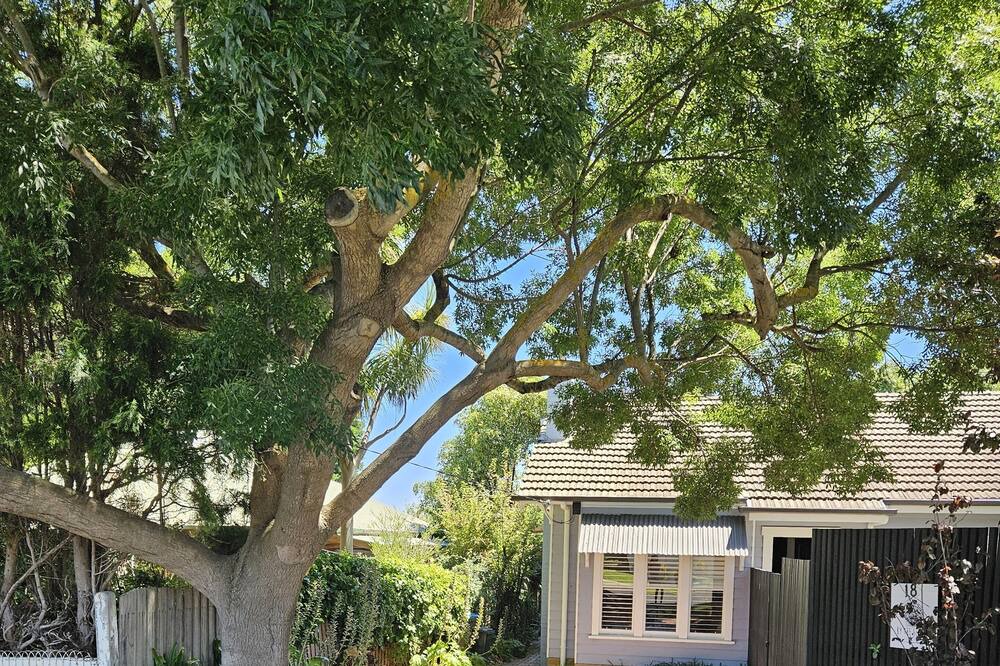 Photo of Outdoor in Mornington