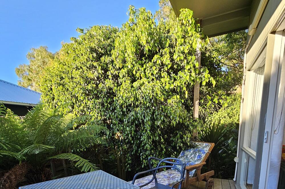 Photo of Outdoor in Mornington