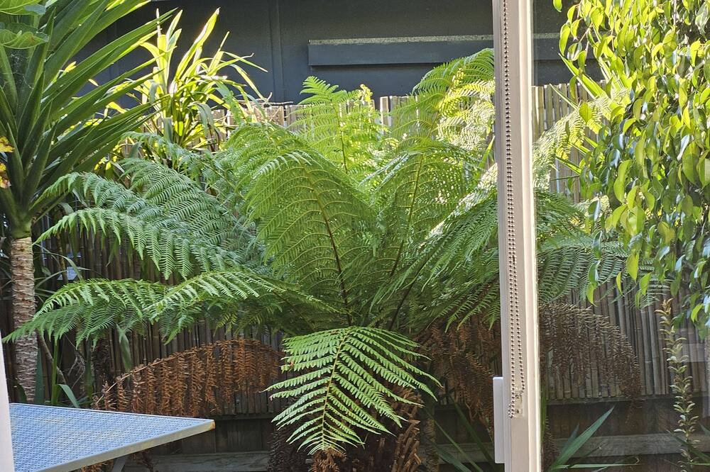 Photo of Patio Balcony in Mornington