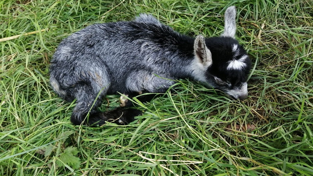 Photo of Outdoor in Azay-le-Ferron