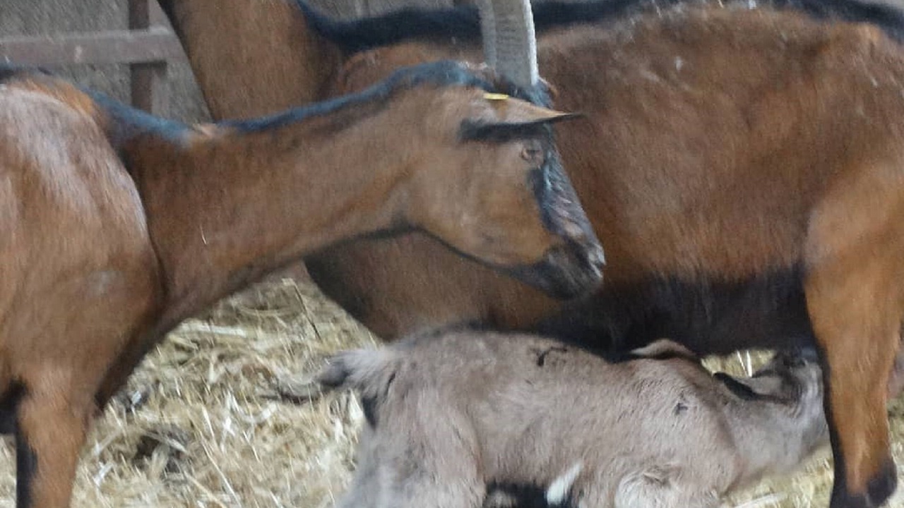 Photo of Outdoor in Azay-le-Ferron