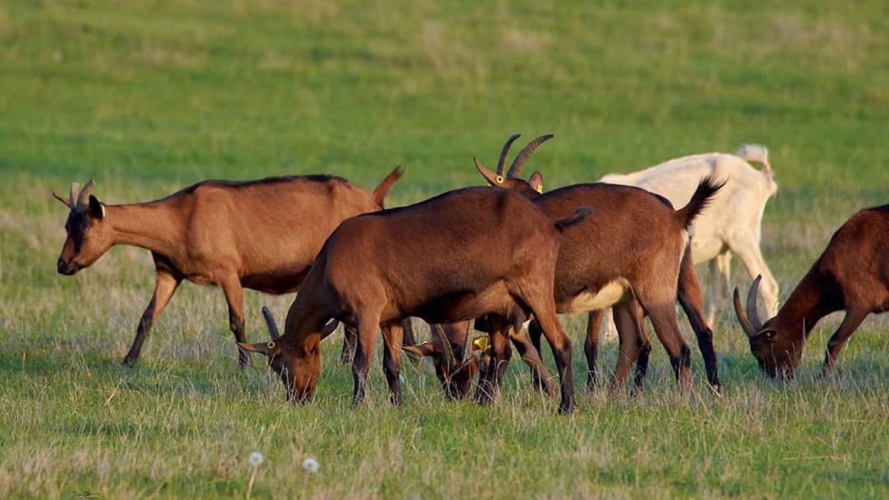 Photo of Outdoor in Azay-le-Ferron