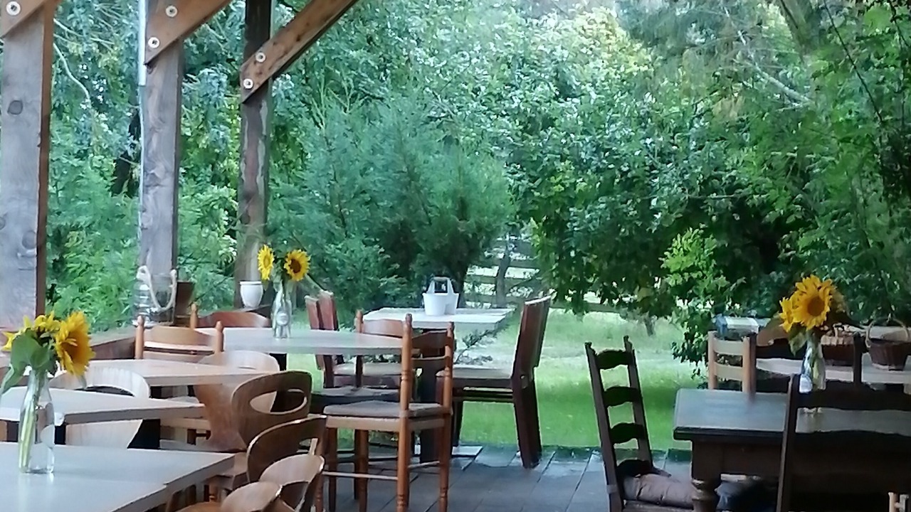 Photo of Others in Azay-le-Ferron