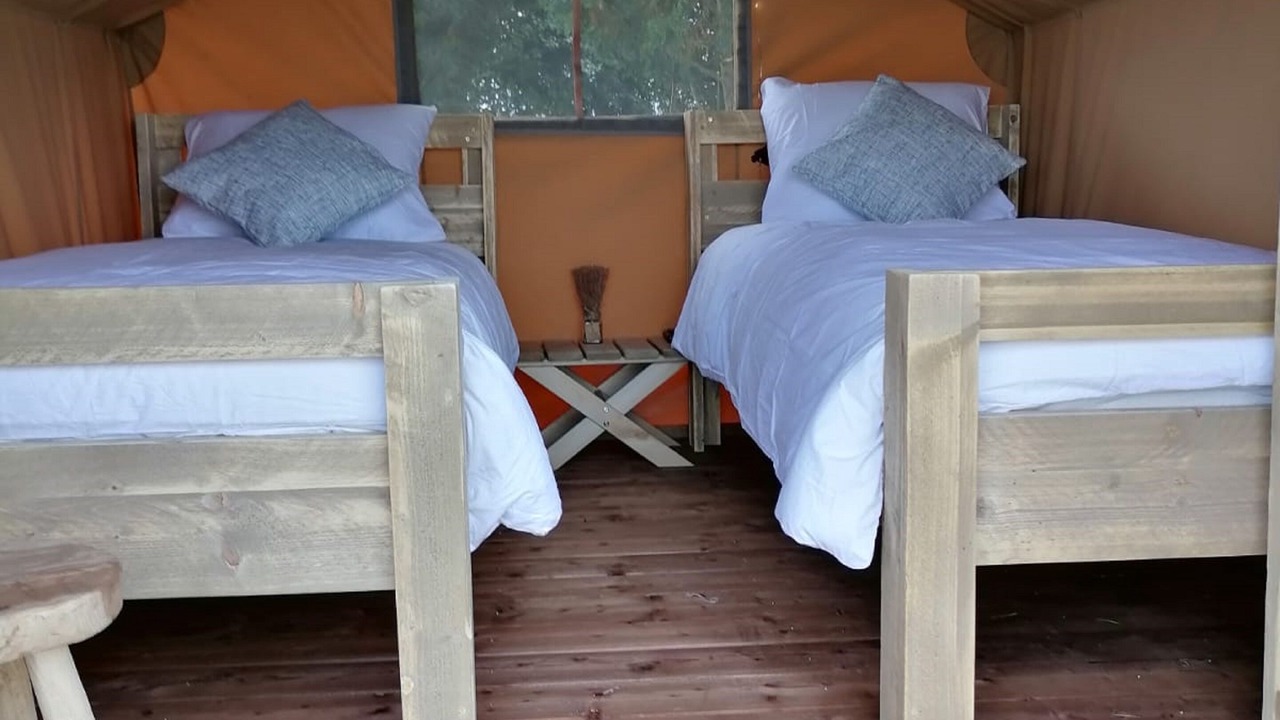 Photo of Others in Azay-le-Ferron