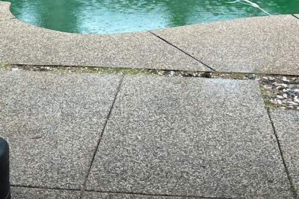 Photo of Outdoor in Carmichael