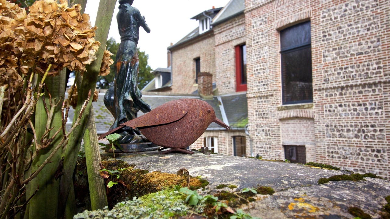 Photo of Outdoor in Saint-Valery-en-Caux