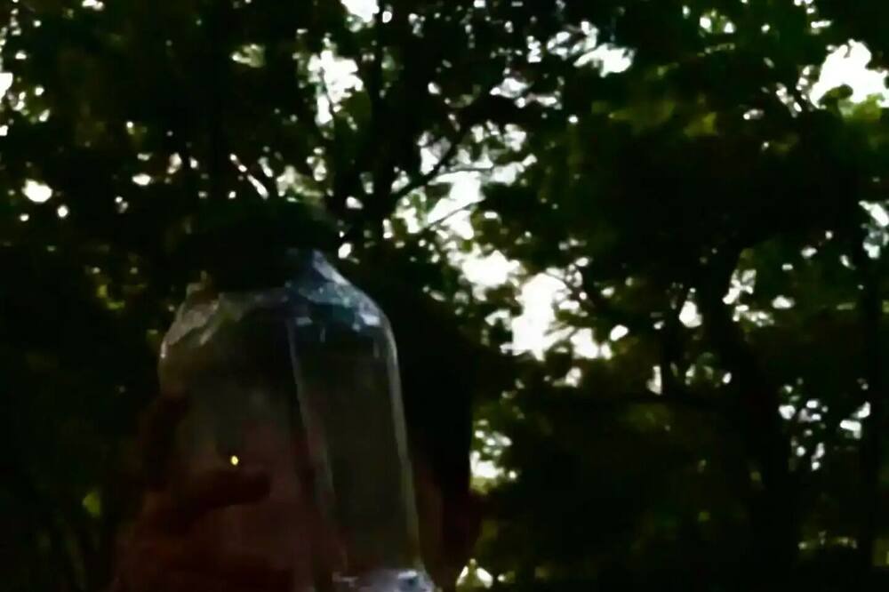Photo of Outdoor in DeSoto