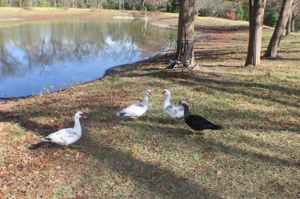 Photo of Others in DeSoto