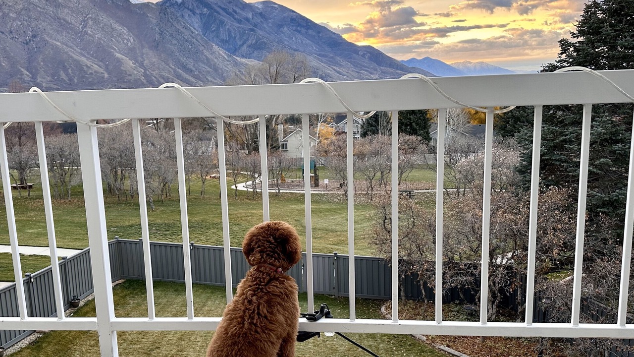 Photo of Outdoor in Alpine