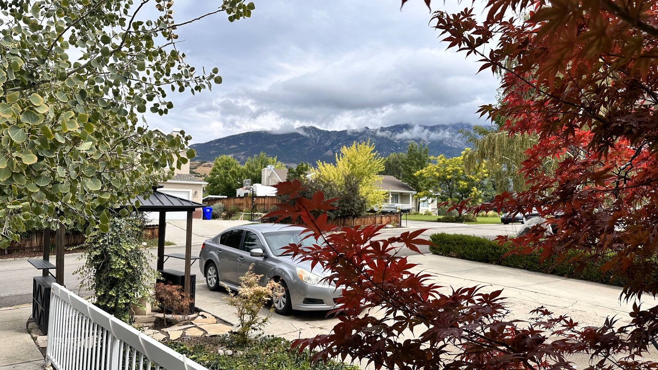 Photo of Outdoor in Alpine