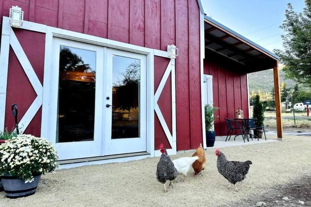 Photo of Others in Jacksonville