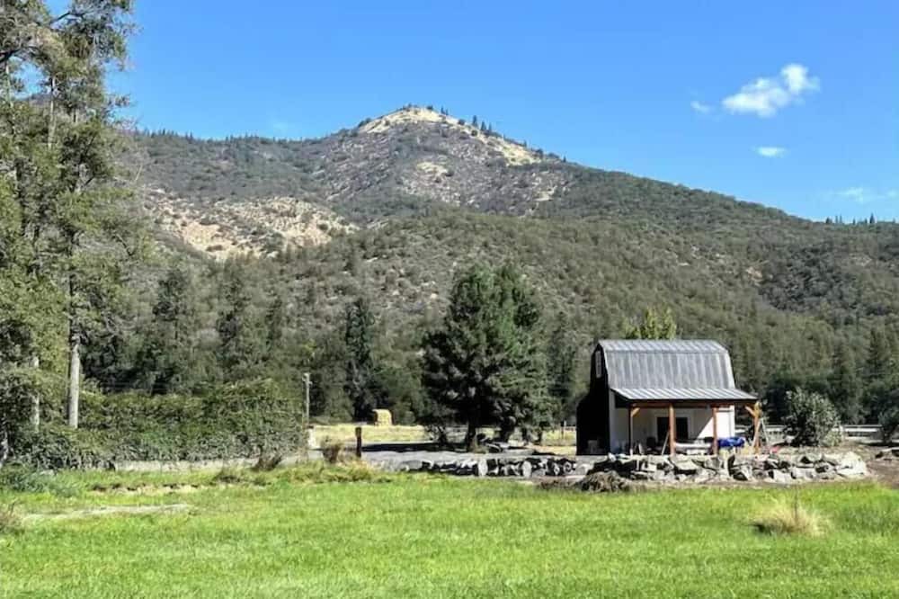 Photo of Outdoor in Jacksonville