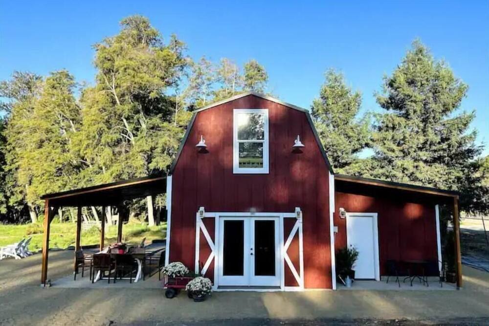 Photo of Outdoor in Jacksonville