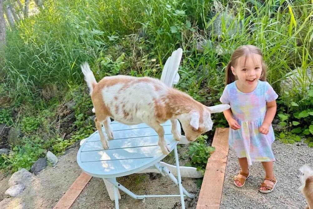 Photo of Others in Jacksonville