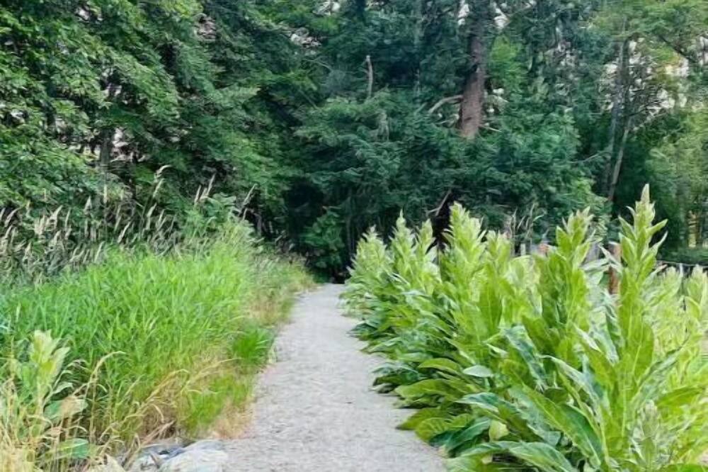 Photo of Others in Jacksonville