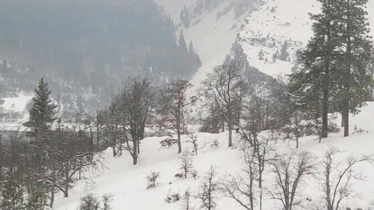 Photo of Outdoor in Mosier