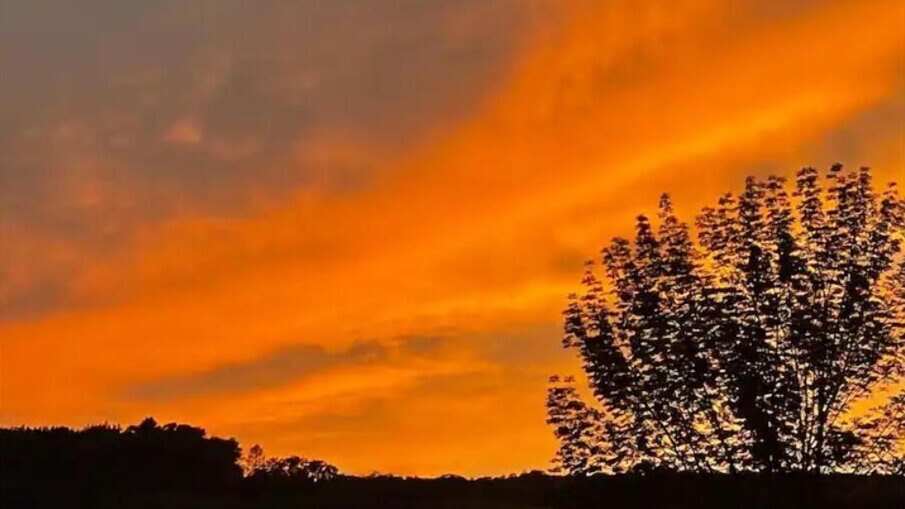 Photo of Others in Putney