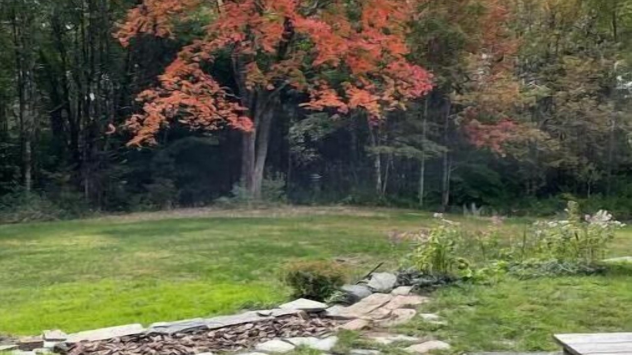 Photo of Outdoor in Putney