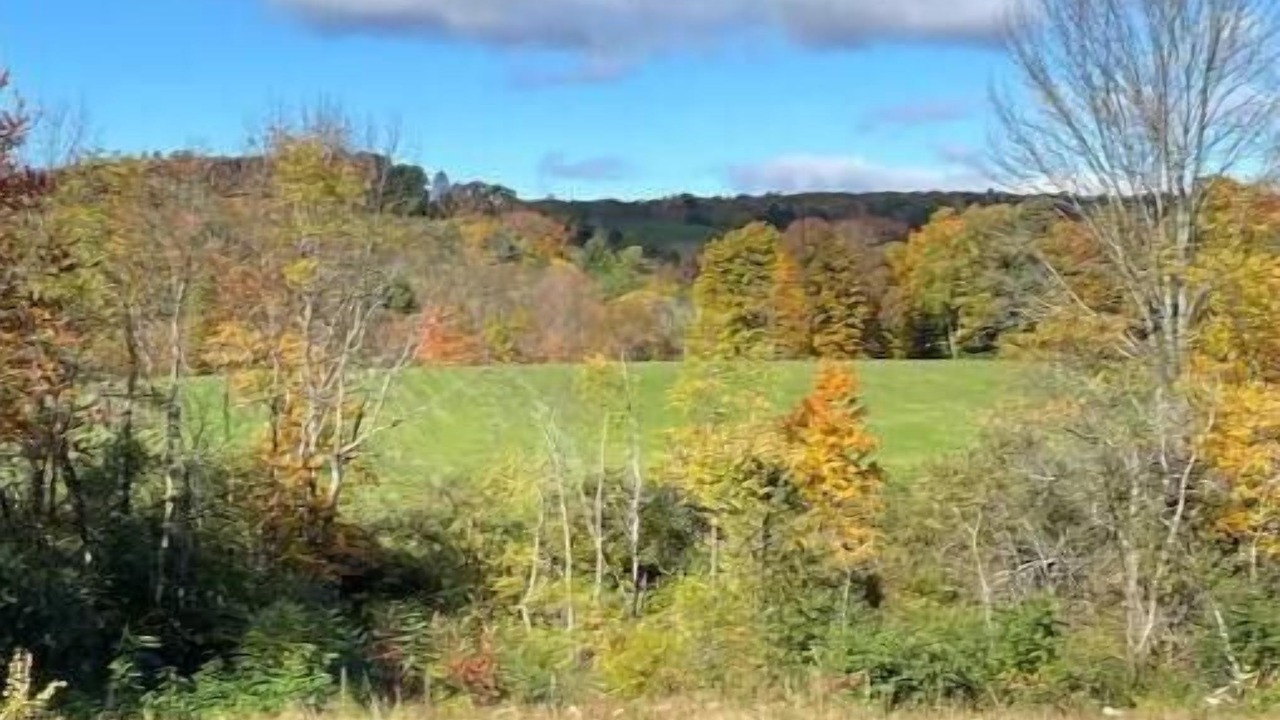 Photo of Outdoor in Putney