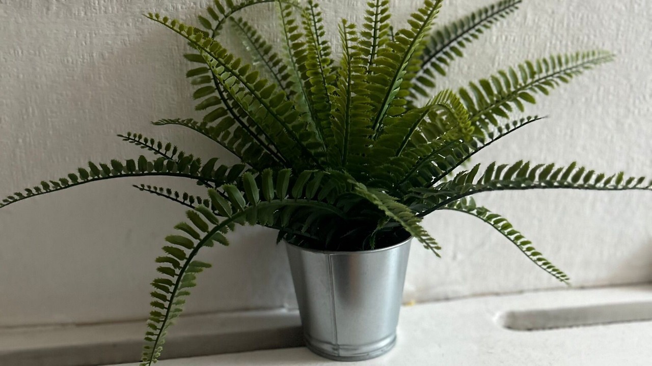 Photo of Livingroom in Balham