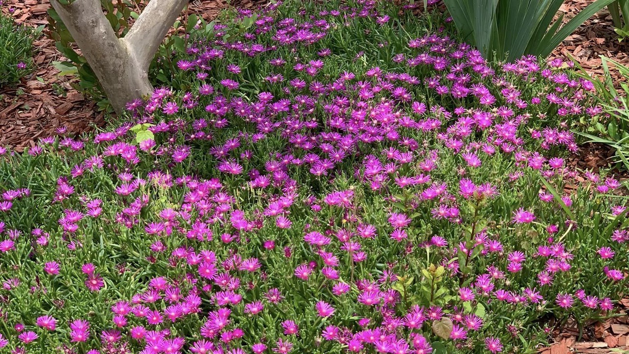 Photo of Outdoor in Norfork