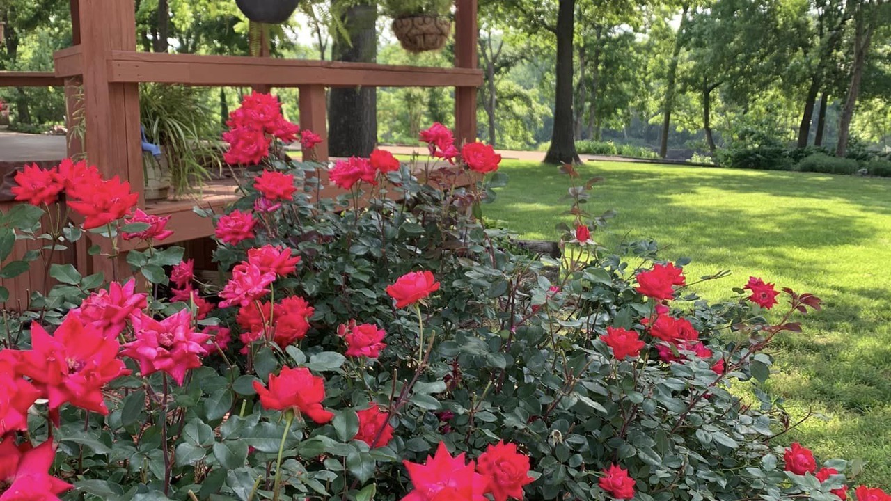 Photo of Outdoor in Norfork