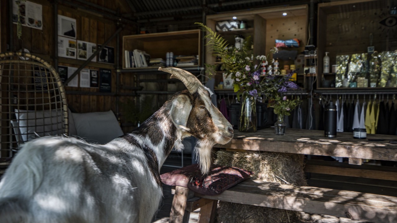 Photo of Others in Tintagel