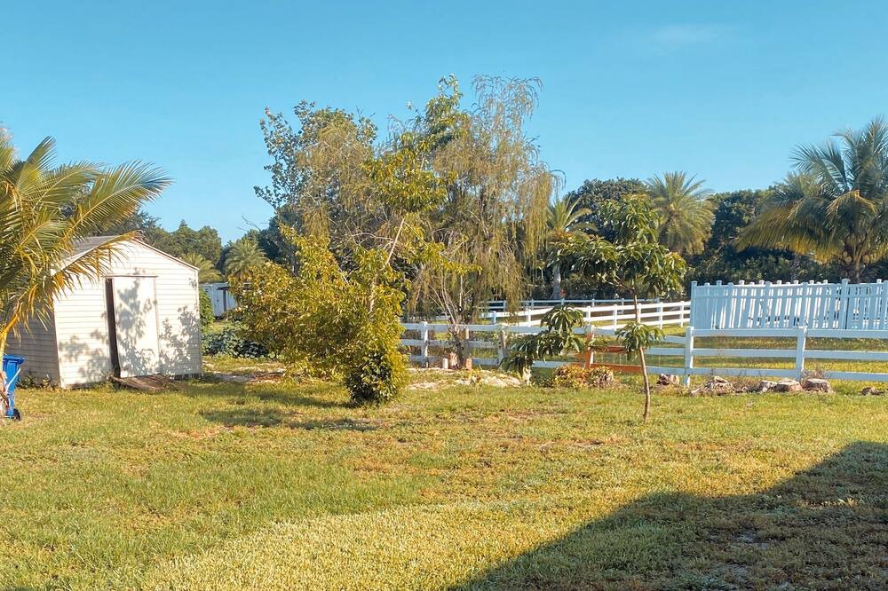 Photo of Outdoor in Green Meadow