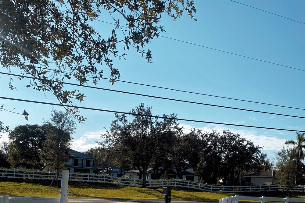 Photo of Outdoor in Green Meadow