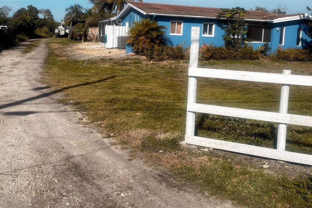 Photo of Others in Green Meadow