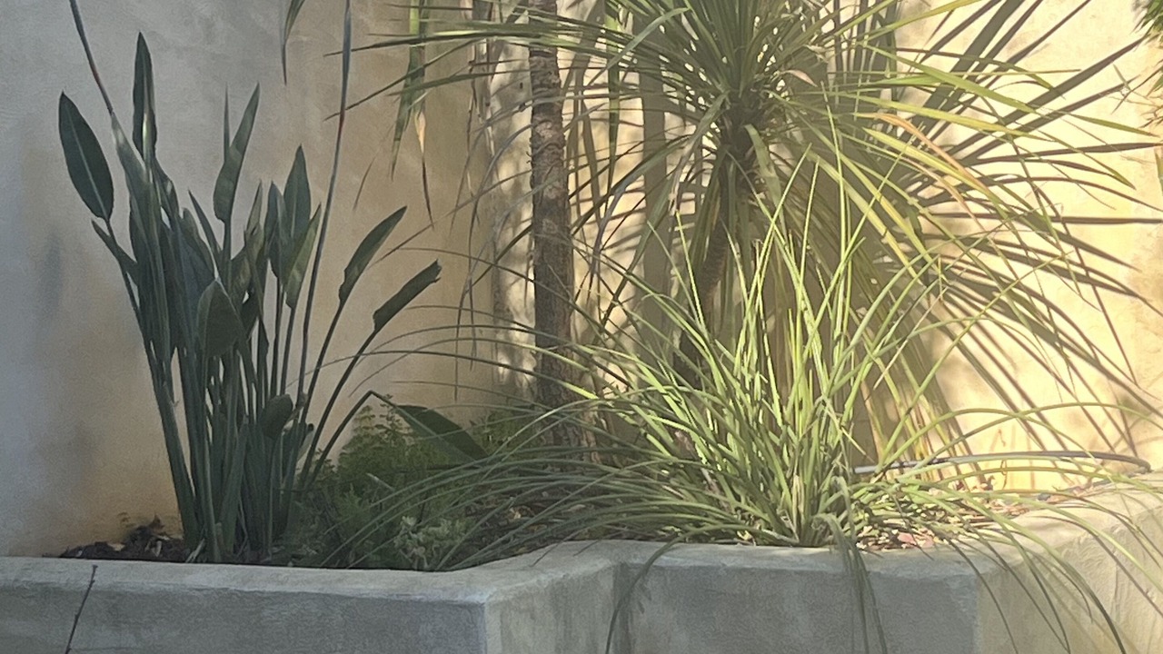Photo of Outdoor in Congenies