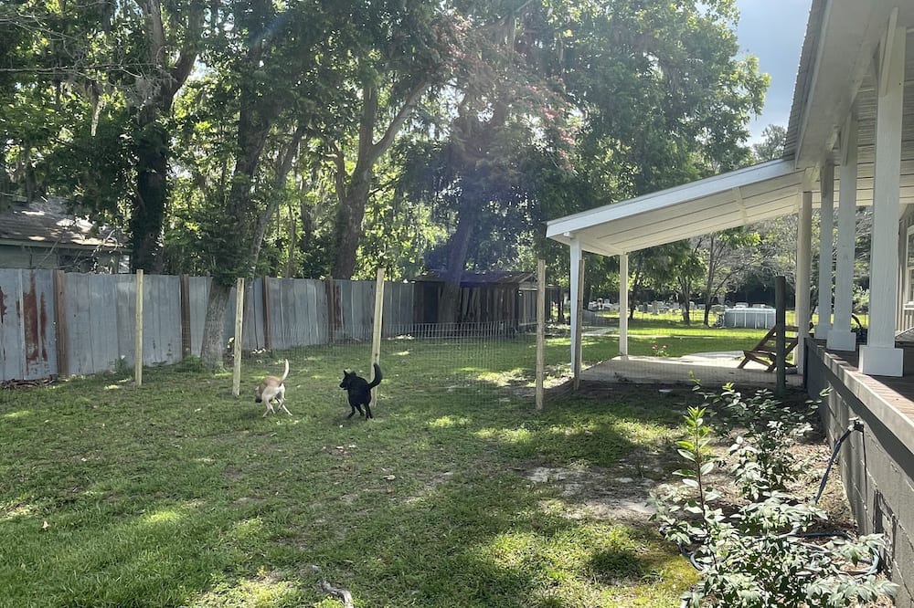 Photo of Outdoor in Oliver