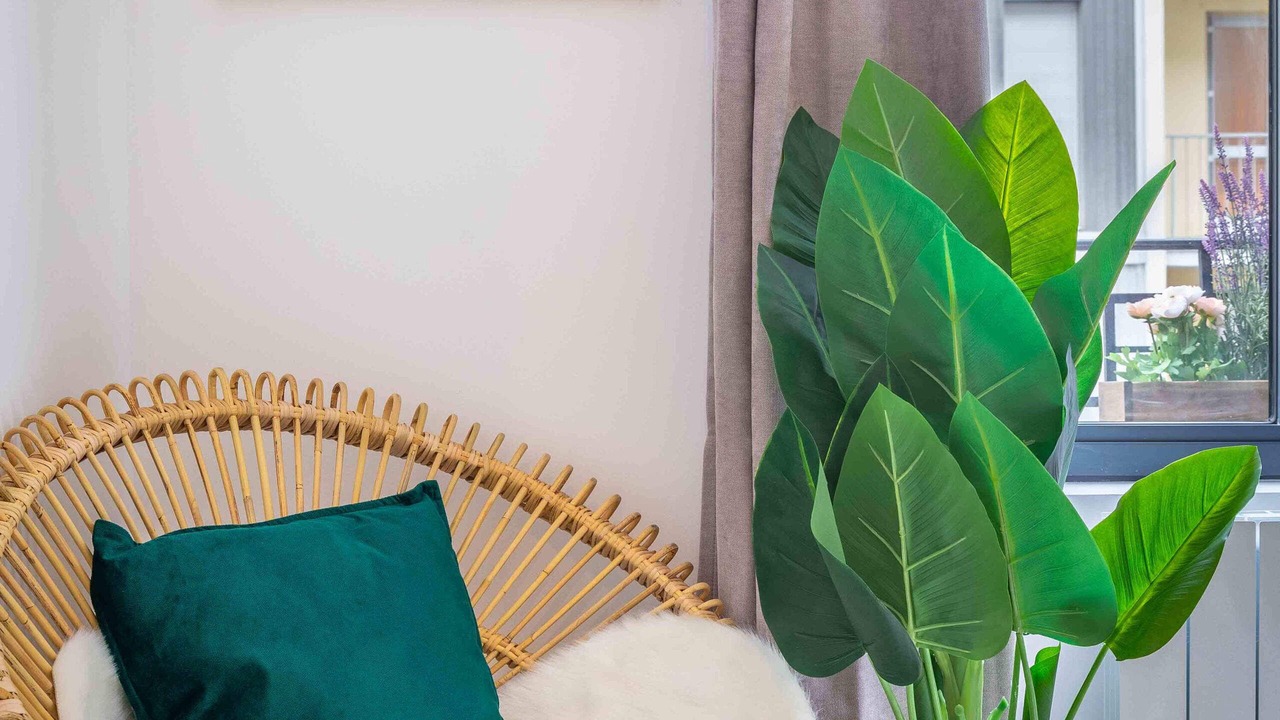 Photo of Others in La Guillotiere