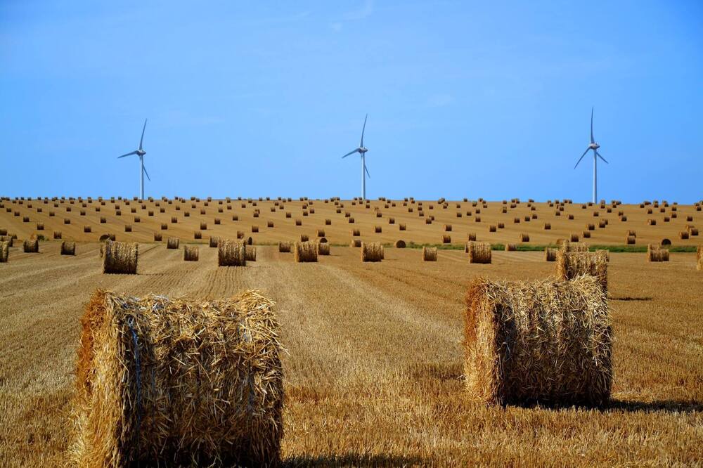 Photo of Outdoor in Paluel