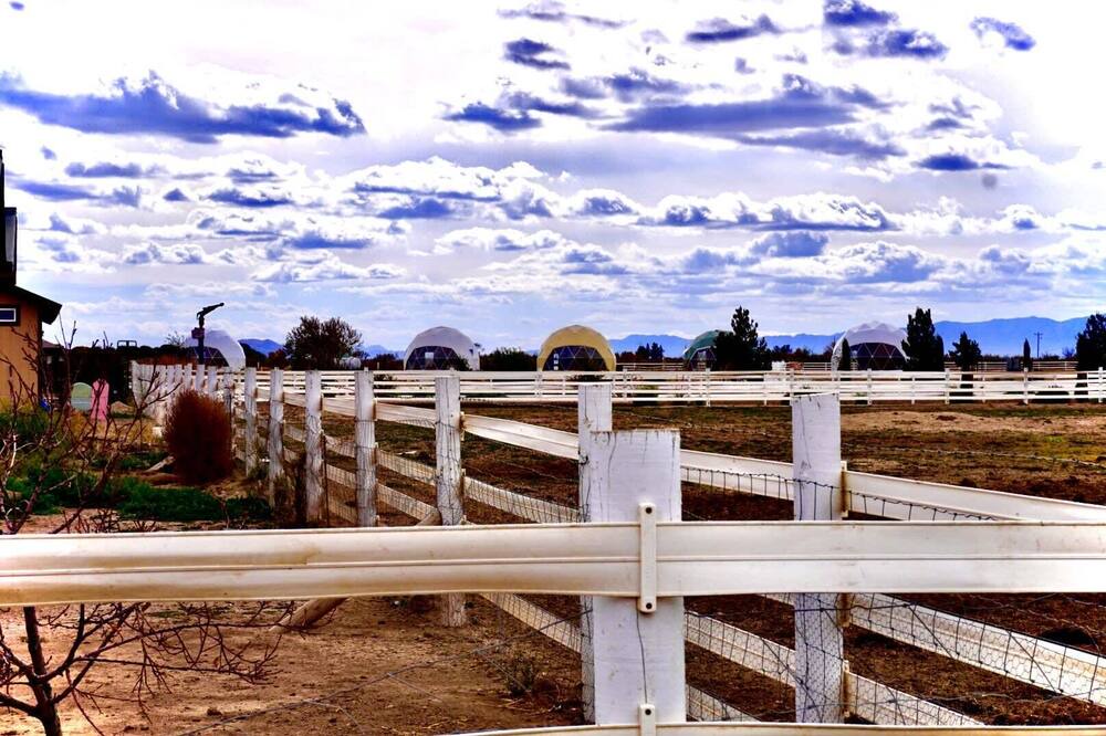 Photo of Others in Willcox