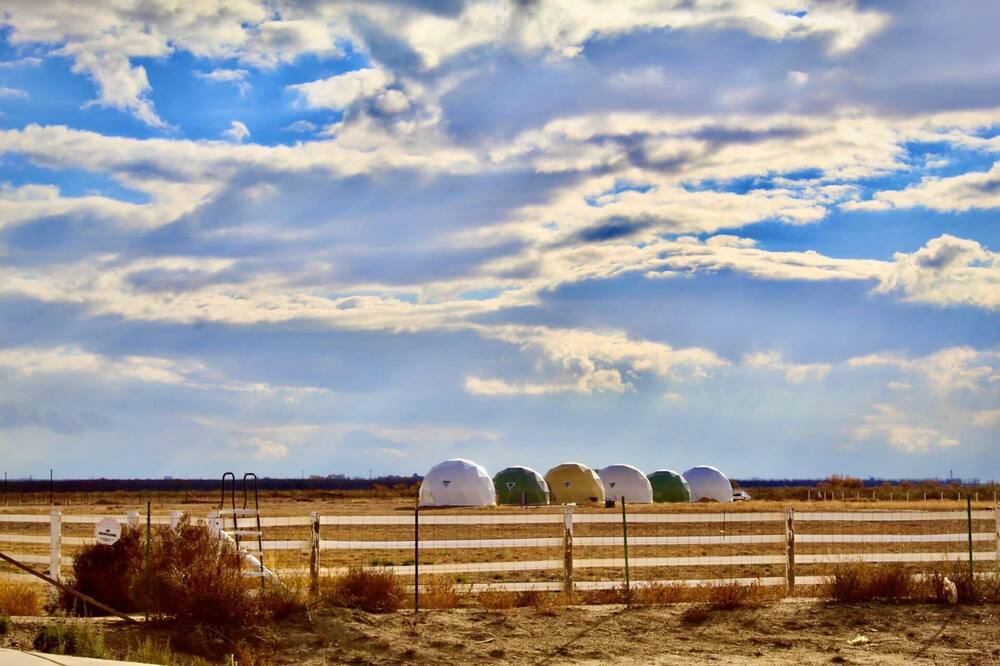 Photo of Others in Willcox