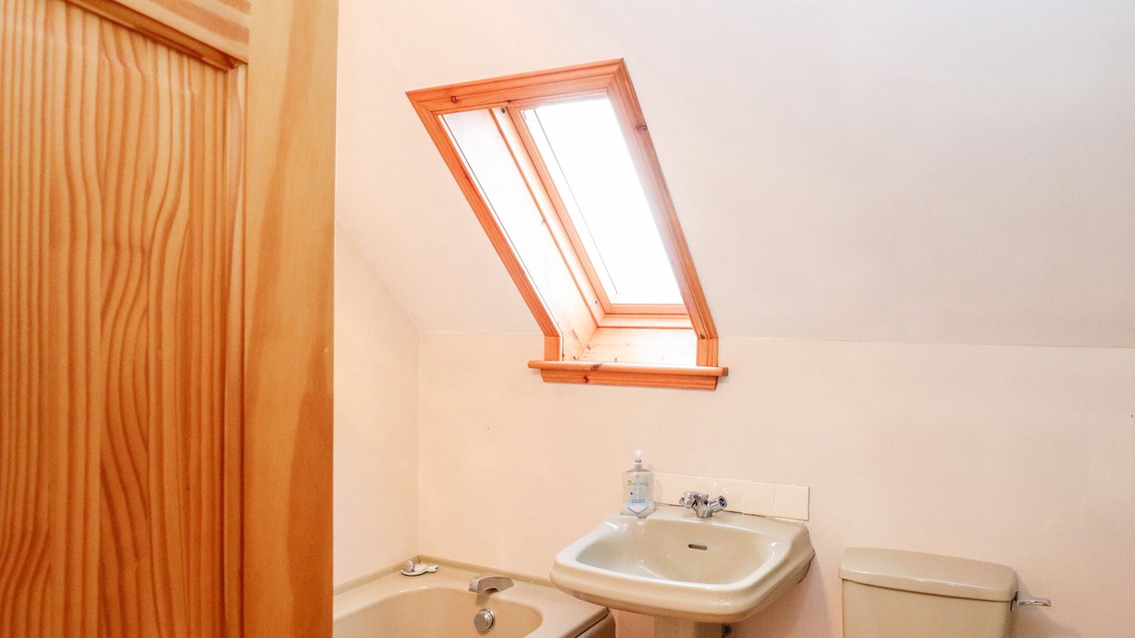 Photo of Others in Baleshare