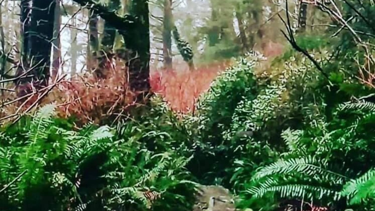 Photo of Others in La Push