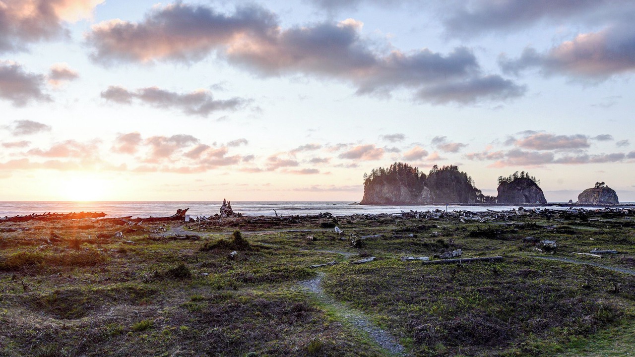 Photo of Others in La Push