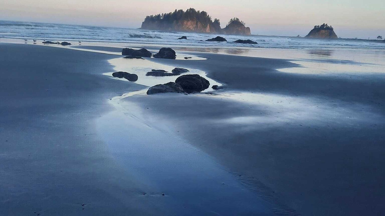 Photo of Others in La Push