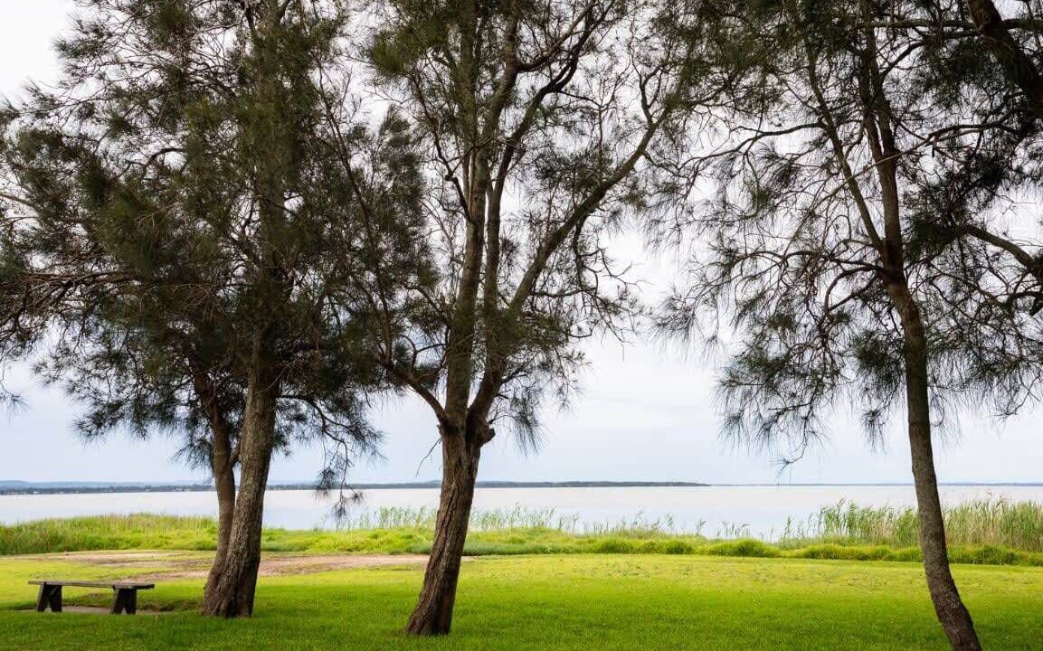 Photo of Others in Killarney Vale