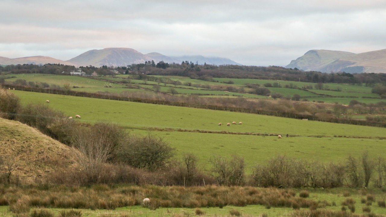 Photo of Outdoor in Whitehaven