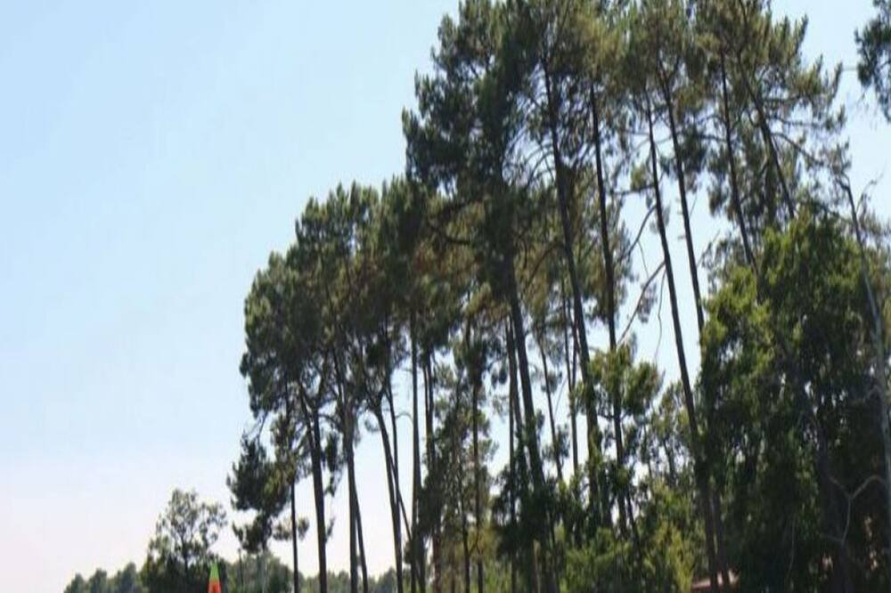 Photo of Outdoor in Sainte-Eulalie-en-Born
