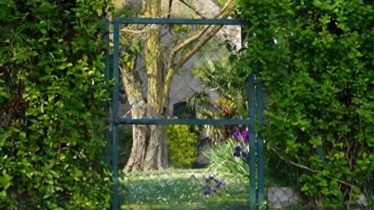 Photo of Outdoor in Crouzilles