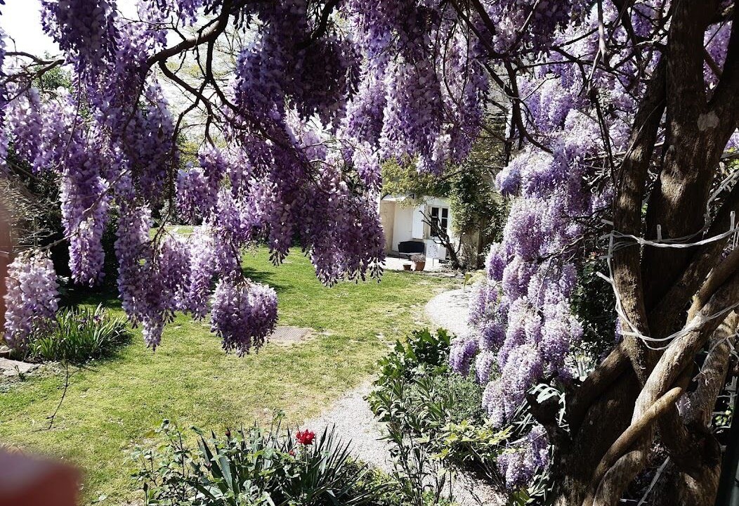 Photo of Outdoor in Crouzilles