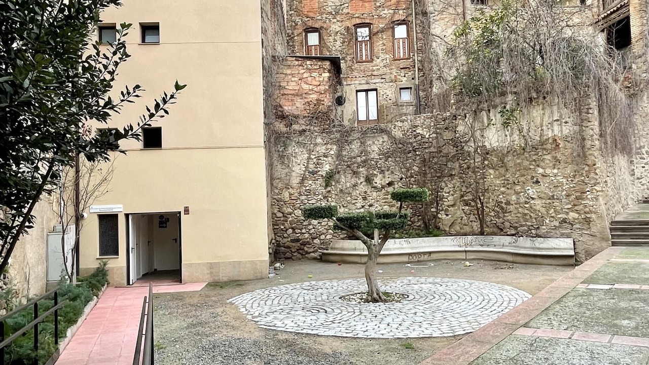 Photo of Outdoor in Alforja