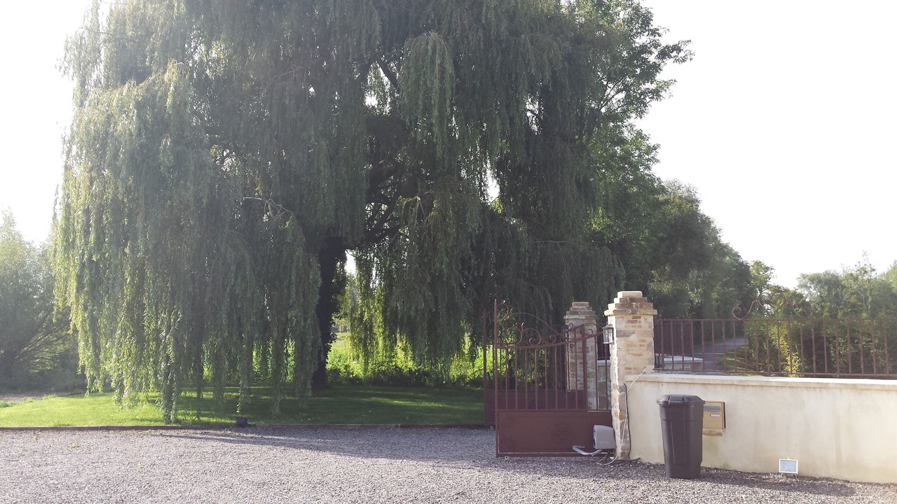 Photo of Outdoor in Robehomme